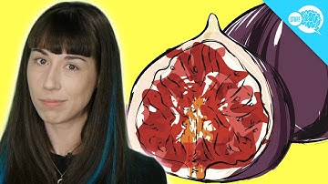 Do Figs Really Have Dead Wasps In Them?