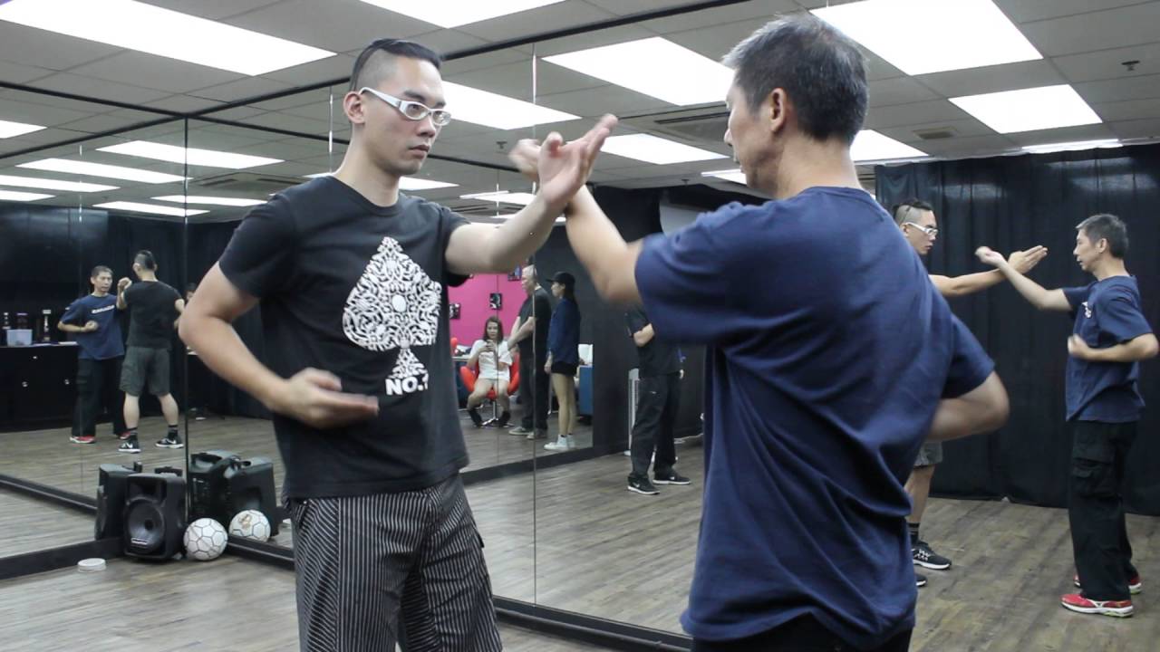 Snake Crane Wing Chun : Fundamental 13 Techniques
