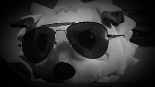no bones