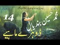 Dohray Mahiay 14 | Muhammad Hussain Bandial | Best Punjabi Saraiki Original Audio Song