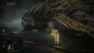 Golden Hippopotamus | Rune Level 1 No Damage No Talismans Melee only - Elden Ring @sulkierpit7