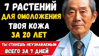 Эти 7 растений омолаживают кожу и восстанавливают коллаген (представьте, как вы себя почувствуете!)
