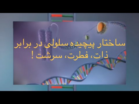 ساختار پیچیده سلولی در برابر ذات فطرت سرشت