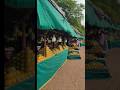 highway meeda kuppalu kuppalu mamidi pandlu#ulavapadu#mangoes#shorts