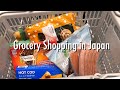 summary of shopping trips in Japan (IKEA, supermarkets, drugstore)