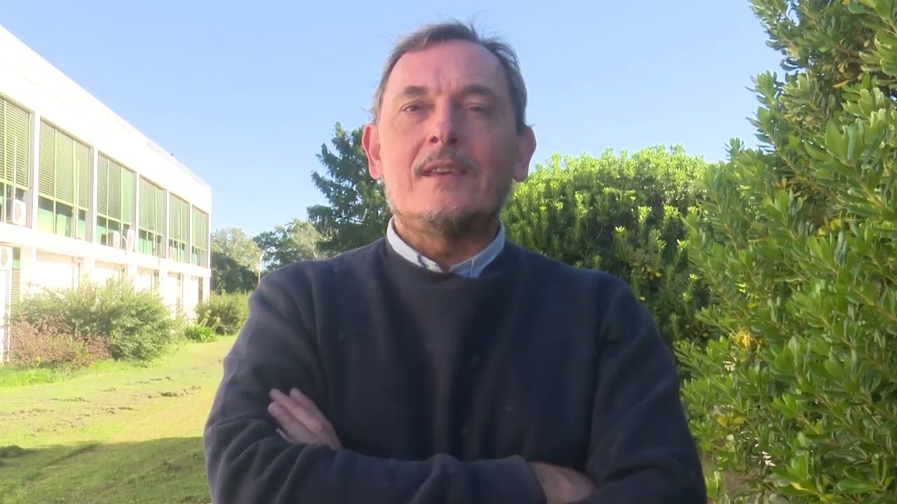 Marcos Juárez: Aparecen enfermedades en los ensayos de maíz