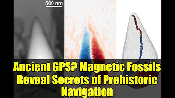 Ancient GPS? Magnetic Fossils Reveal Secrets of Prehistoric Navigation