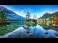 Calming Peaceful Nature, Instant Calm, Relaxing Sleep Music, Stress Relief, Sleep Early ★ 52