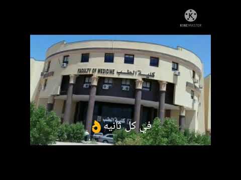 استورى واتس كل خطوه ناخدها نحلم بخطوه تانيه اصاله و حماقى