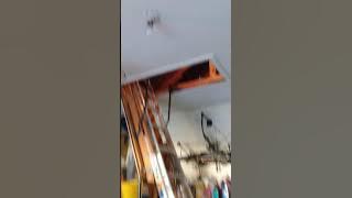 Tools of the attic possum catching trade