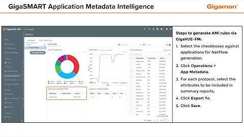 GigaSMART Application Metadata Intelligence
