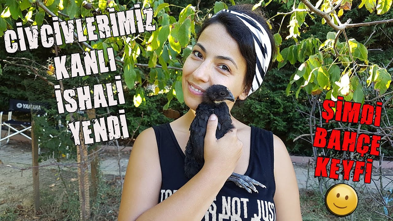 CİVCİVLERİMİZ KANLI İSHAL OLDULAR 🐥 | Civciv İshal Olunca ...