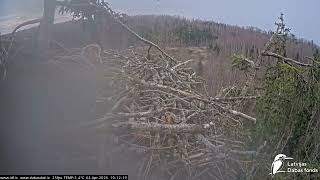 J E20260404 101200twoswansflyabovelake