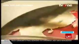 Obb kabar malam 2013 2014 tvone (potongan)