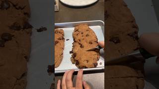 Chocolate biscotti 🍫
