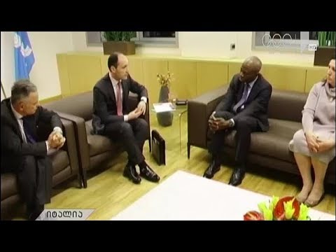 გარემოს დაცვისა და სოფლის მეურნეობის მინისტრის შეხვედრა იტალიელ კოლეგასთნ