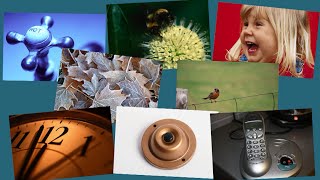 3. What to expect when wearing hearing aids