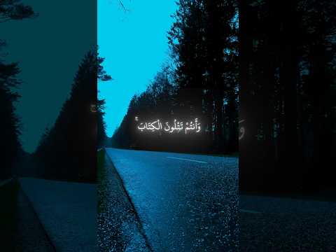 سورة البقرة بصوت القارئ عمير شميم