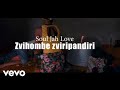 Soul Jah Love - Zviri Pandiri Zvihombe