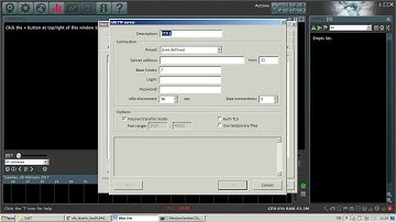 BlueIris 4.5.1.4 - Denial of Service exploit