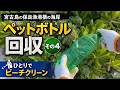 漂着するのはフタ付きばかり。フタのないペットボトルは、今も海の底に沈んでいるのかもしれません。|宮古島ペットボトル回収記 #4