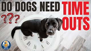 Time Outs for Dogs: Does Your Dog Need One? #34