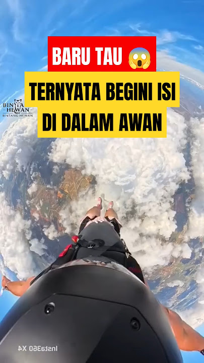 TERNYATA INI ISI DI DALAM AWAN 🤯 #faktaunik #shorts #vidioshort #awan