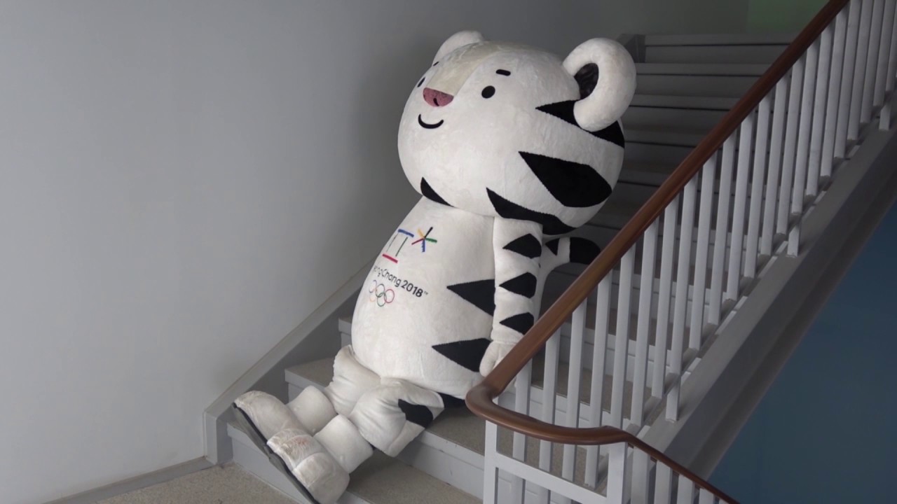 (KOR) 마스코트 이야기 #4 The life of the PyeongChang 2018 Mascot 수호랑 호돌이