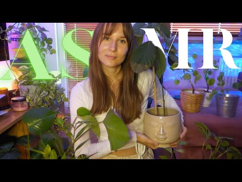 ASMR po polsku 🌙 Zaczarowany Ogród 🐸 Moja Kolekcja Roślin (polish whisper)