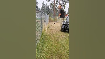 Trimming Chainlink Fences 😒 #lawncare #cleanup #fyp