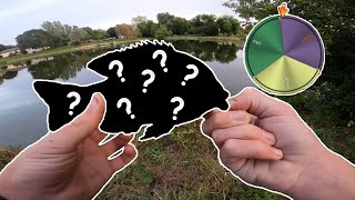 Roulette Wheel Fishing Challenge for Mystery fish (BIG)