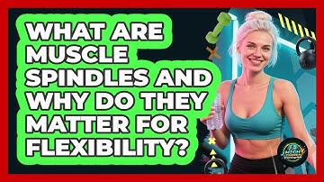 What Are Muscle Spindles And Why Do They Matter For Flexibility? - High Energy Training Hub