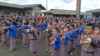 Scout Promise