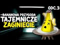 Tajemnicze Zaginięcie - BANANOWA PRZYGODA🍌 | Odc 3