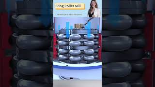Compact Ring Roller Mill, Space-Saving! DM For Custom Quote