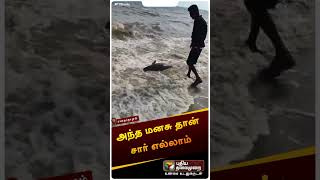 அந்த மனசு தான் சார் எல்லாம் | கடல் பசு | Dugong calf | #shorts screenshot 2