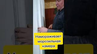 Намораживает морозильная камера