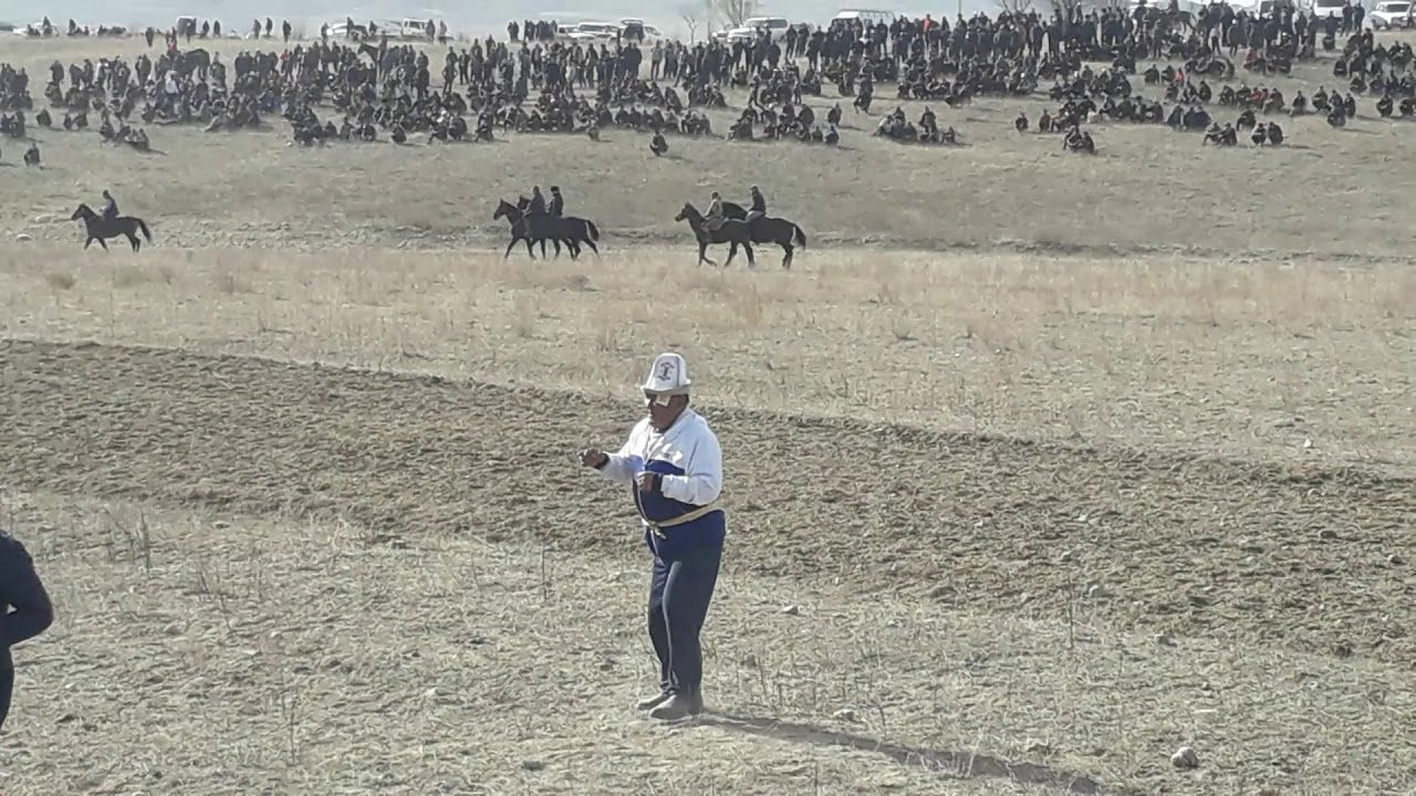 Ала бука погода 10. Ала бука улак. Ала бука айыл окмоту. Баймак ала бука. Ала бука Турсунай.