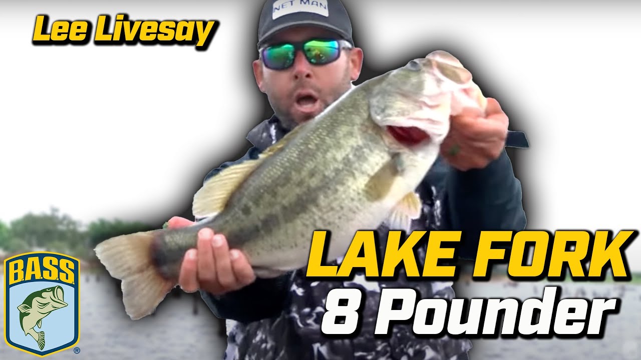 Never Before Seen: Lee Livesay's last-cast 8 pounder at Lake Fork to seal  2022 victory - YouTube