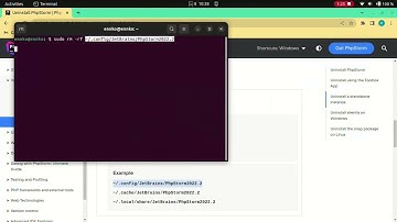 uninstall php storm in ubuntu