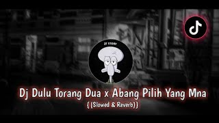 DJ DULU TORANG DUA X ABANG PILIH YANG MANA VIRAL TIKTOK (SLOWED&REVERB)