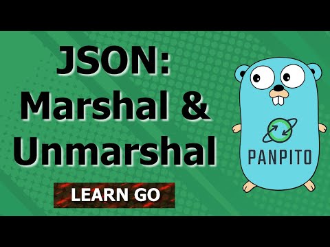 [Golang] How to marshal and unmarshal JSON?