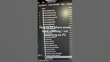 How to fix where winds meet crashing / not launching on PC