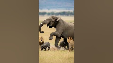 Elephant vs Lion vs Crocodile Real Fight | Jungle King Battle | Elephant #art #shorts #lion