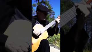Fly me to the Moon #music #classicalguitar #fingerstyle #acoustic #guitar