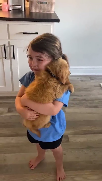 Little girl sobs as she holds her new puppy | Humankind #Shorts