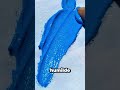 Ese hermano hizo una pintura así 🎨🖌️✨ que todos quedaron sorprendidos al verla 😯😨 #shorts