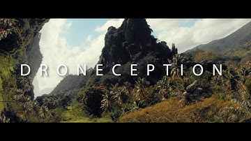 D R O N E C E P T I O N