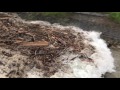 Laui Giswil 31.5.2017, 20.07, Hochwasser Flutwelle nach Gewitter im Einzugsgebiet