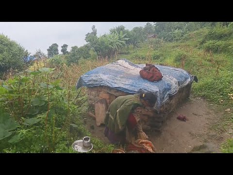 Vídeo: A Resiliência E A Cultura Das Mulheres No Nepal